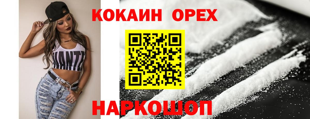 COCAIN Fish Scale  Вход с VPN  Ставрополь 