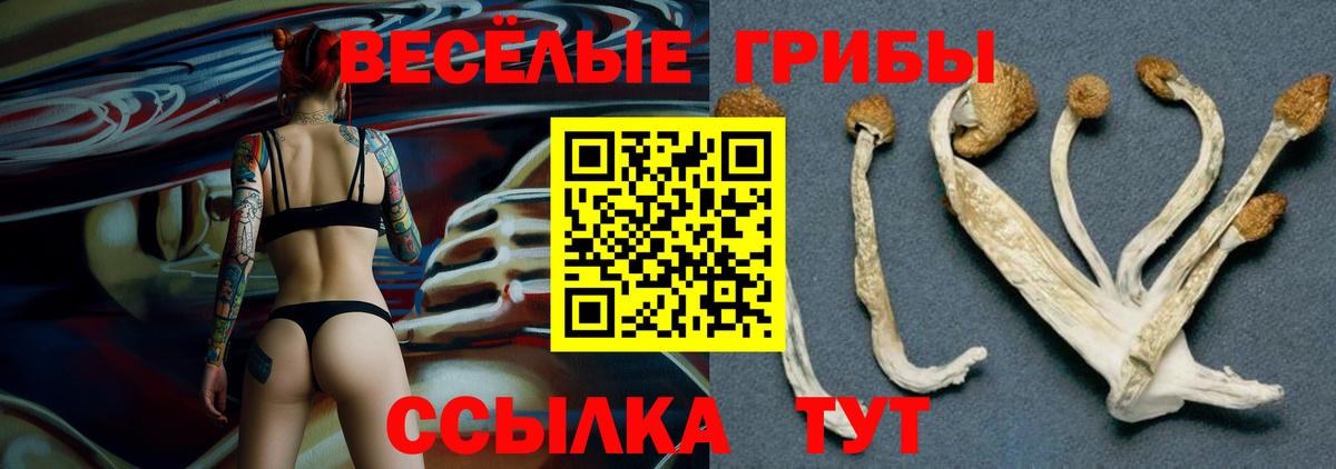 Псилоцибиновые грибы Magic Shrooms Ставрополь