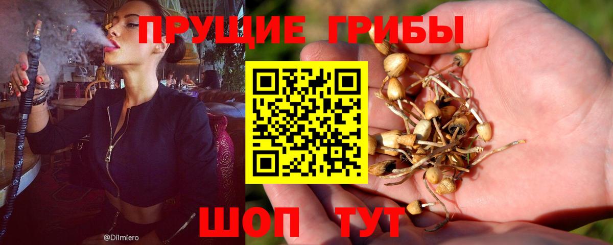 Галлюциногенные грибы прущие грибы  Вход с VPN  Ставрополь 