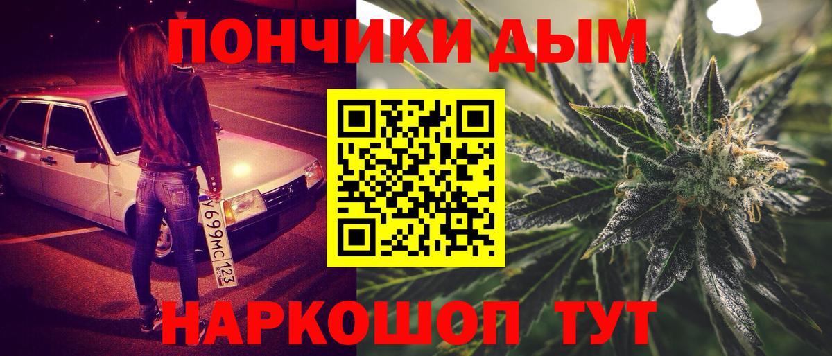 Бошки Шишки планчик Ставрополь